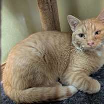 Thumbnail photo of Charles #2