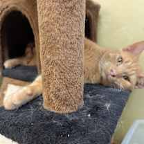 Thumbnail photo of Charles #3