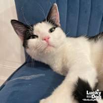 Thumbnail photo of Inbox #1