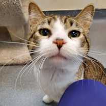 Thumbnail photo of Mike #2