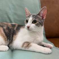 Thumbnail photo of Leah Whalen #2