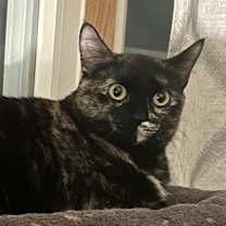 Thumbnail photo of Lucy #3