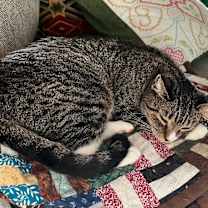 Thumbnail photo of Mia #2