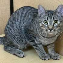 Thumbnail photo of Welby #1