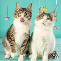 Thumbnail photo of Floyd #1