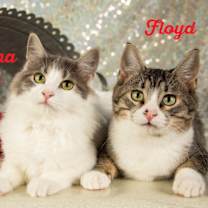 Thumbnail photo of Floyd #3