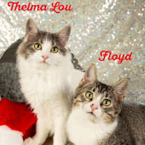 Thumbnail photo of Floyd #4