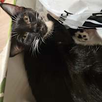 Thumbnail photo of Tandy Bowen #2