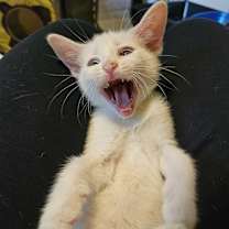 Thumbnail photo of George Clooney #4