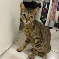 Thumbnail photo of Lupita #2