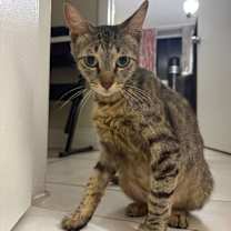 Thumbnail photo of Lupita #3