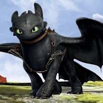 Thumbnail photo of Toothless #2