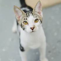 Thumbnail photo of TheoBear #1