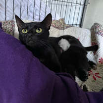 Thumbnail photo of Gilly #3