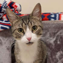 Thumbnail photo of Bubbles #2