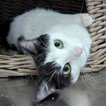 Thumbnail photo of Lilly #2