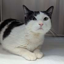 Thumbnail photo of Lilly #3