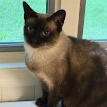 Thumbnail photo of NORI #1