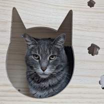 Thumbnail photo of Quinta #4