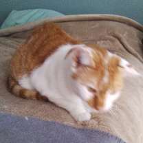 Thumbnail photo of Jack 724-25 #2