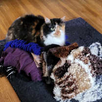 Thumbnail photo of Omlette #4