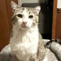 Thumbnail photo of Swamp Monster #2