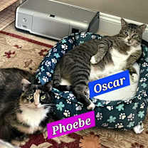 Thumbnail photo of Phoebe #1