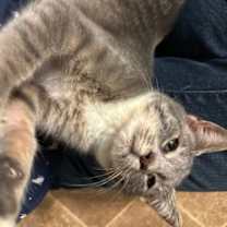 Thumbnail photo of McAllister #2