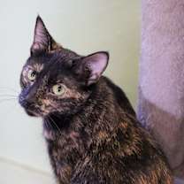 Thumbnail photo of Windy #2