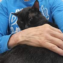 Thumbnail photo of Jesse #2