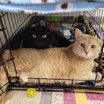 Thumbnail photo of Jesse #4