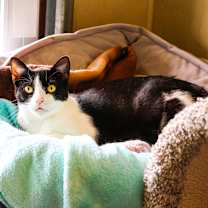 Thumbnail photo of Bean #4