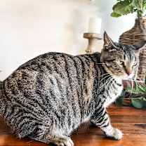 Thumbnail photo of Betty #3