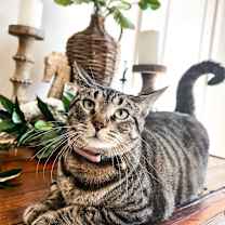 Thumbnail photo of Betty #4