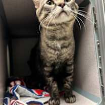 Thumbnail photo of Bobby #3