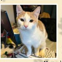 Thumbnail photo of Fergus & Murtagh #1