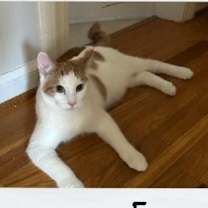 Thumbnail photo of Fergus & Murtagh #3