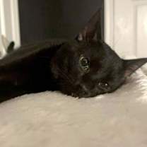 Thumbnail photo of Emilio #3