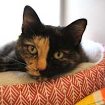 Thumbnail photo of Sky full of stars #1