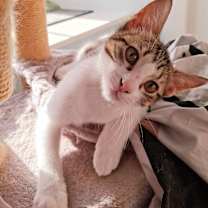 Thumbnail photo of Beijing #1