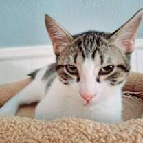 Thumbnail photo of Beijing #2