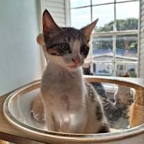 Thumbnail photo of Beijing #3