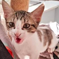 Thumbnail photo of Beijing #4