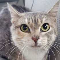 Thumbnail photo of Magdalena #3