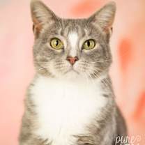 Thumbnail photo of Ruby #3