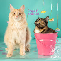 Thumbnail photo of Hugo #1