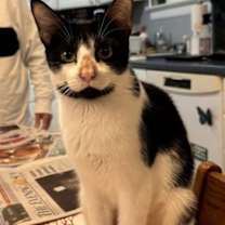 Thumbnail photo of Ruthie #1