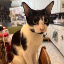 Thumbnail photo of Ruthie #2