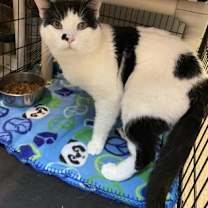 Thumbnail photo of Ed #1