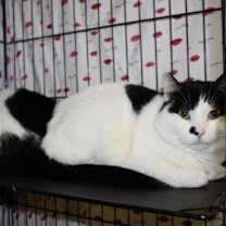 Thumbnail photo of Ed #2